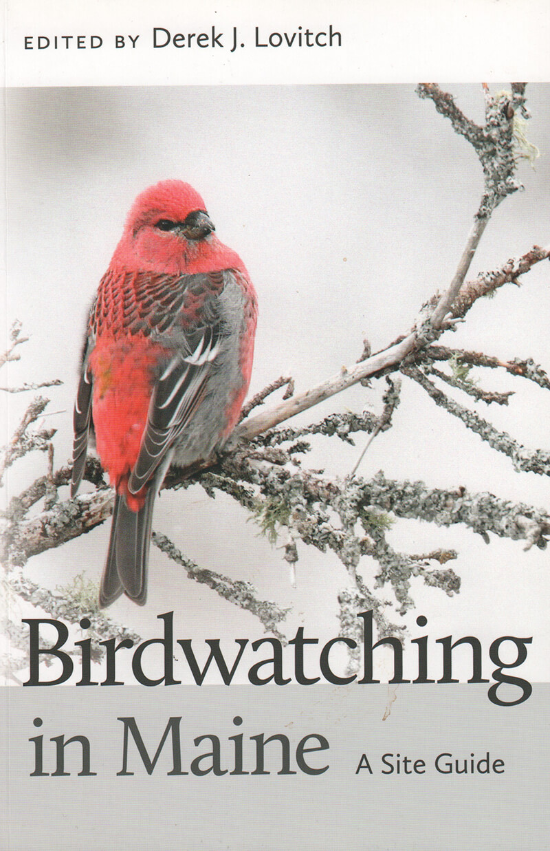 Birdwatching in Maine: A Site Guide