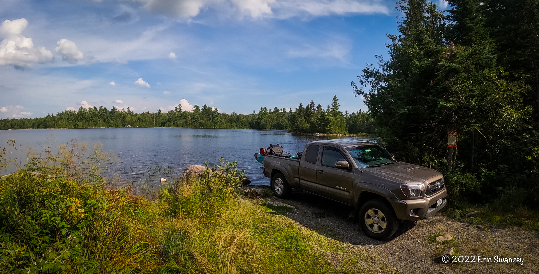 Moose, West Shirley Bog, Moose Junction Township, Shirley, Maine by Eric Swanzey